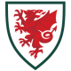 Wales World Cup 2022 Children